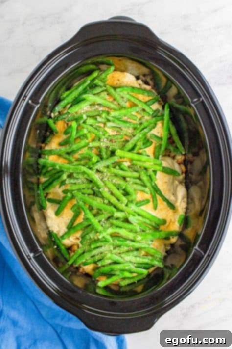 frozen green beans layered on top of cream mixture in oval slow cooker.