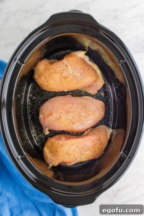 chicken breasts lined up in the bottom of an oval slow cooker.