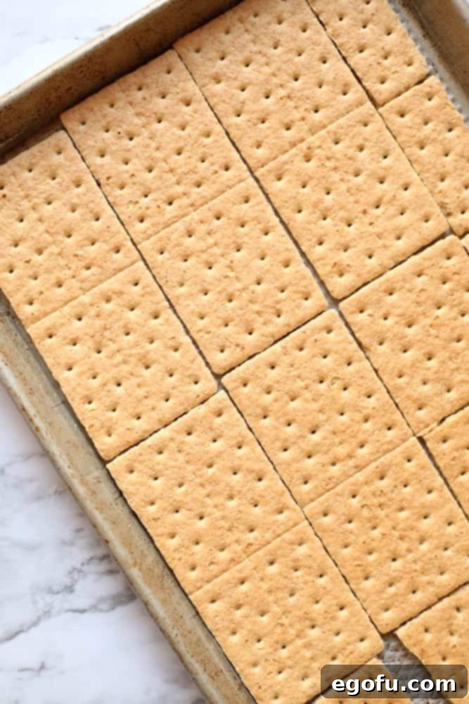 graham crackers lining a baking sheet,