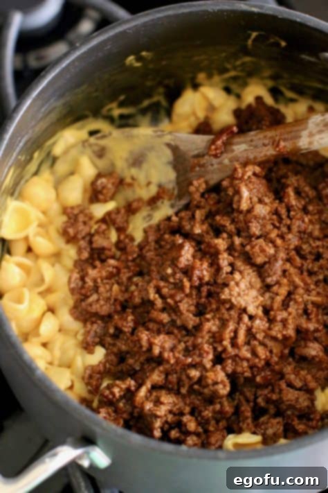 Fiesta Mac and Cheese 12 macaroni and cheese and taco ground beef.