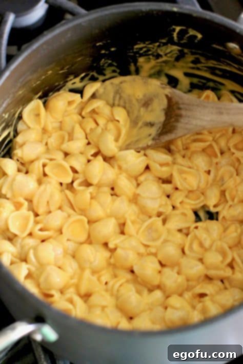 Fiesta Mac and Cheese 10 prepared box shells and cheese.