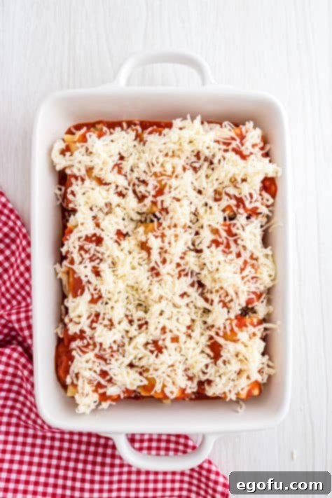 mozzarella cheese sprinkled on top.