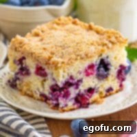 Sweet Blueberry Streusel Cake 11 A delicious Blueberry Buckle recipe, featuring a soft cake and a generous crumb topping.