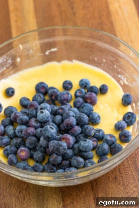 Sweet Blueberry Streusel Cake 15 Fresh blueberries are gently folded into the thick cake batter in a bowl.