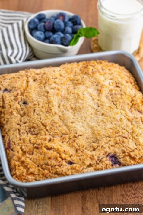 Sweet Blueberry Streusel Cake 20 The fully baked blueberry buckle, featuring a beautifully golden-brown and crispy topping.