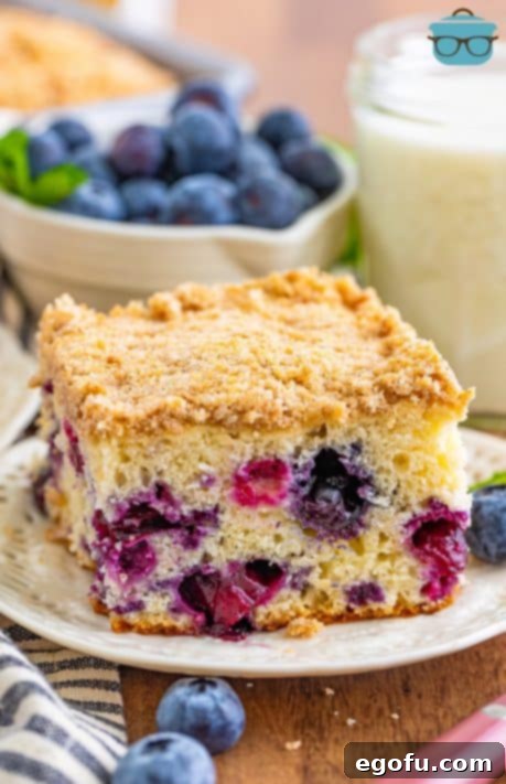 Sweet Blueberry Streusel Cake 21 A freshly baked slice of blueberry buckle resting on a white plate, with fresh blueberries scattered nearby.