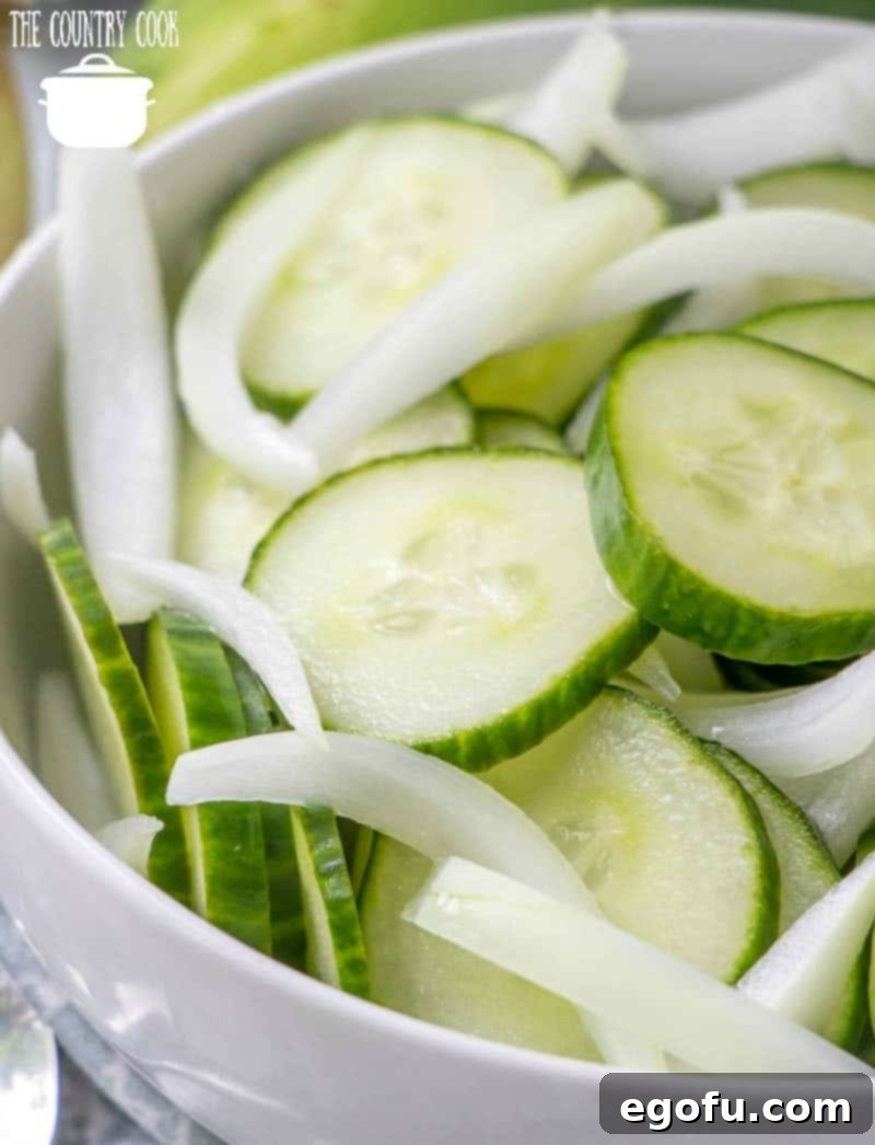 Delicious Vinegar Cucumber Salad with thinly sliced onions, a perfect healthy appetizer or side dish.