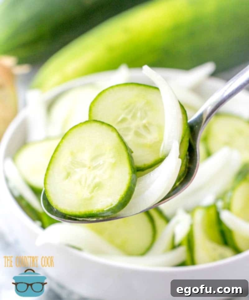 Close-up shot of Vinegar Cucumber Salad, ready to be enjoyed as a refreshing side dish.