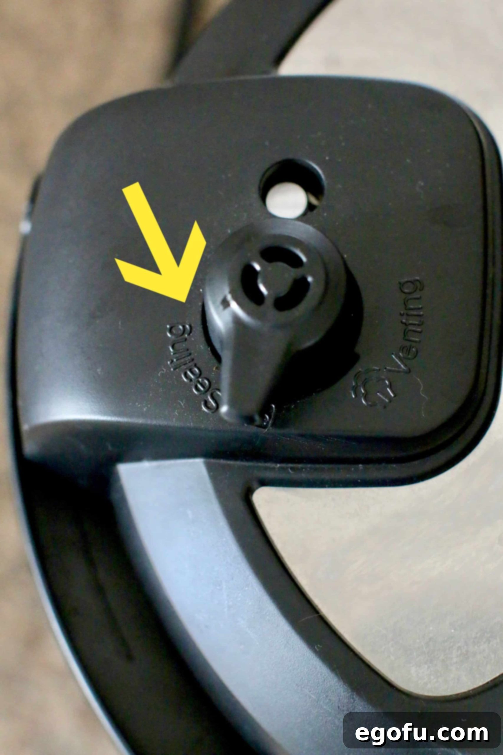 Instant Pot, electric pressure cooker, sealing.