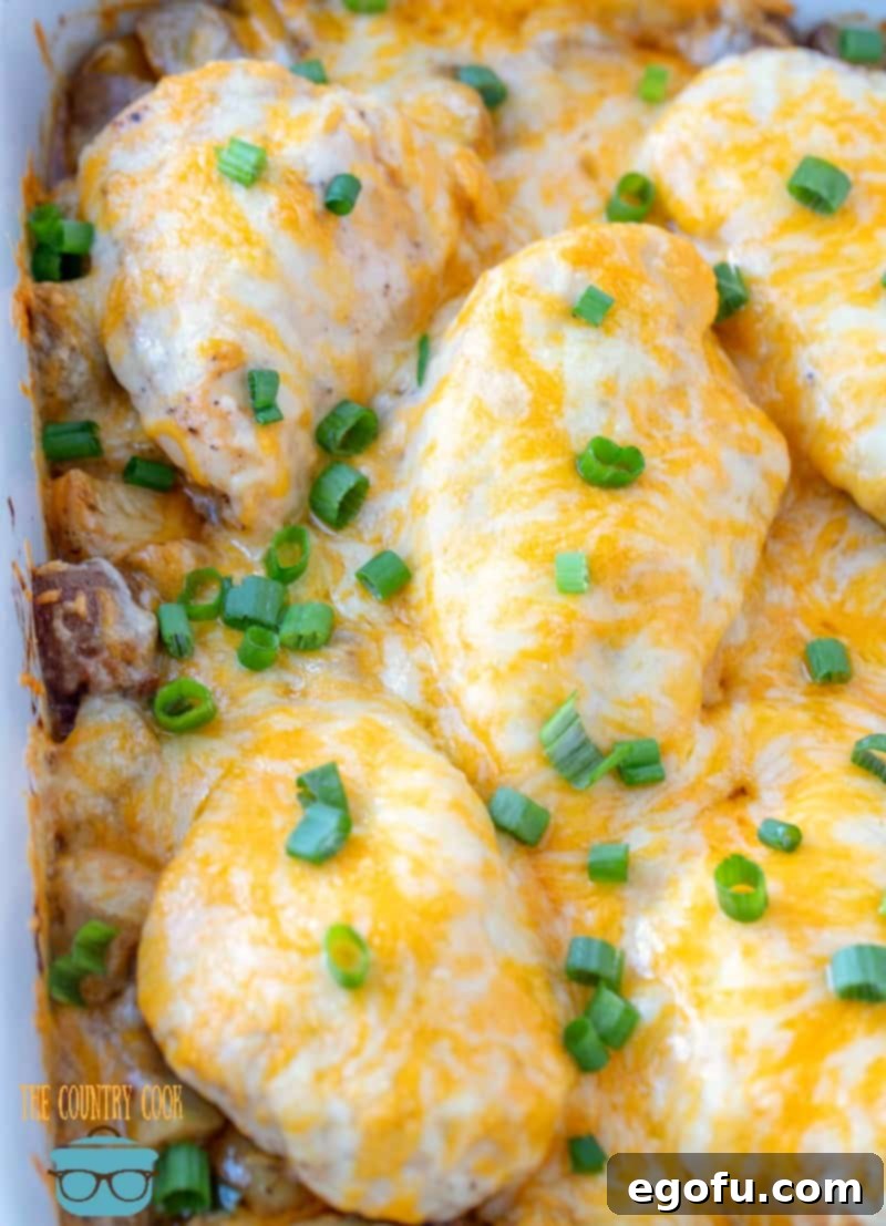 Loaded Cheesy Bacon Chicken and Roasted Potatoes 11 Ranch Barbecue Chicken Breasts with Little Potatoes and Bacon topped with melted cheese.