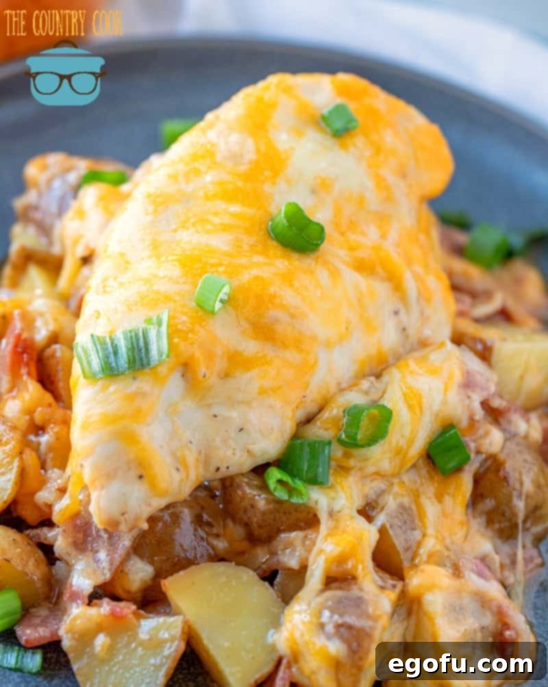 Loaded Cheesy Bacon Chicken and Roasted Potatoes 13 a serving of chicken and potatoes with melted cheese on top on a blue plate.