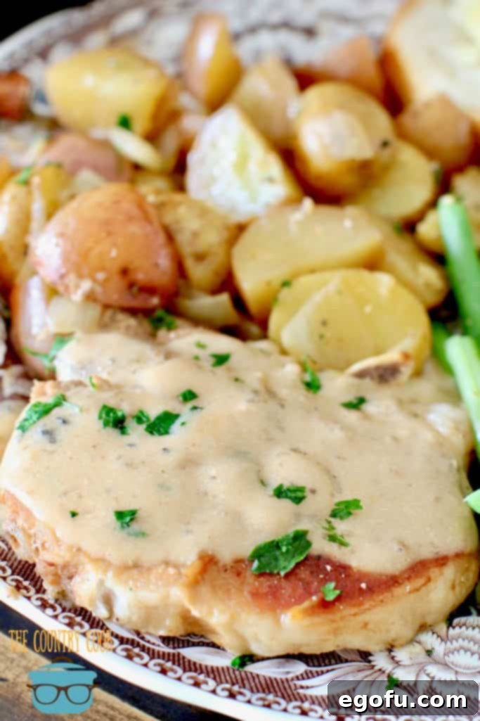 Electric Pressure Cooker Pork Chops and Gravy closeup photo of pork chop with gravy on top.