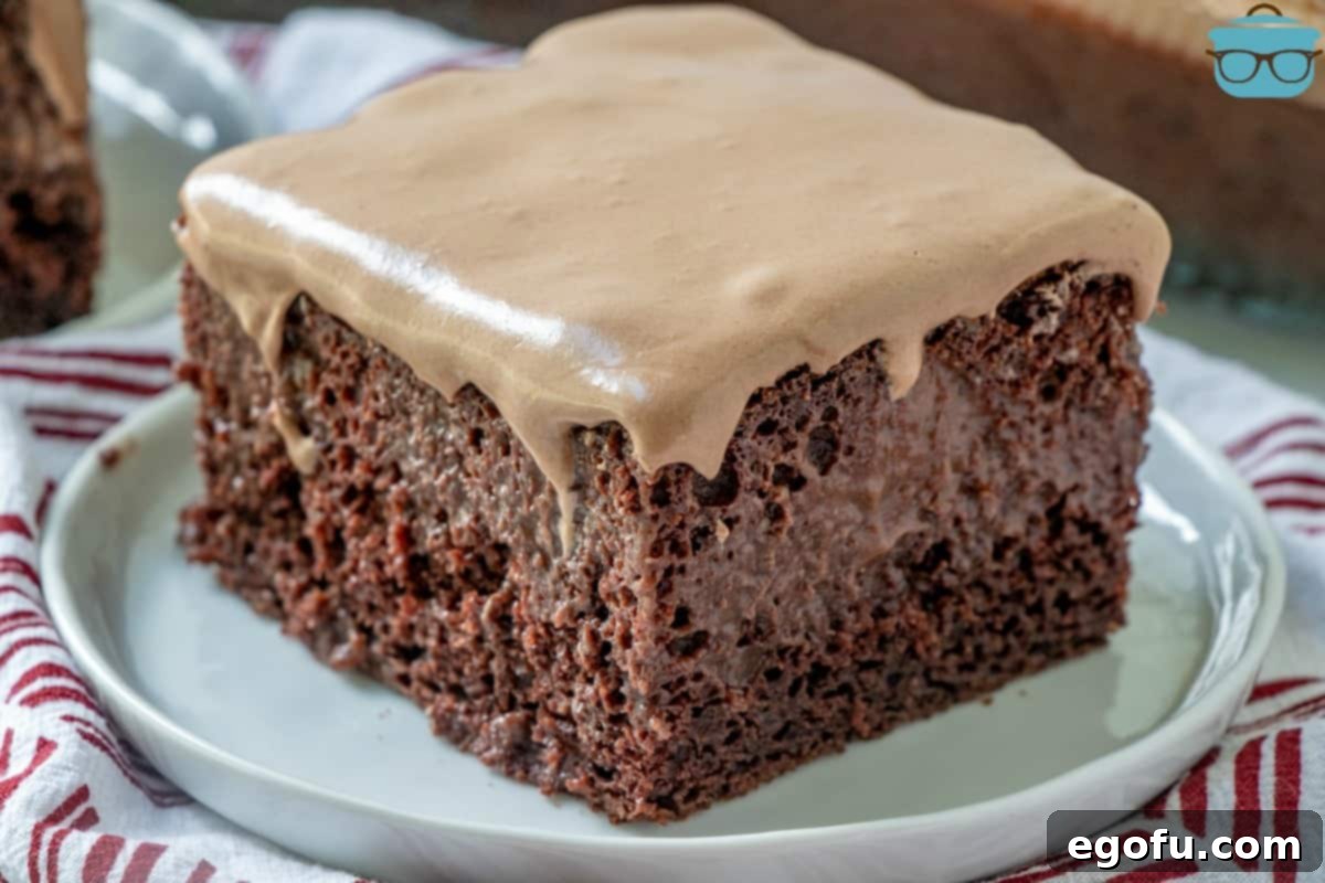 slice of chocolate cake on a small round white plate.