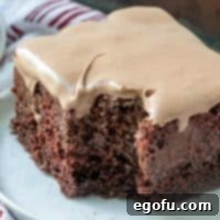 Delicious Chocolate Poke Cake with whipped chocolate frosting