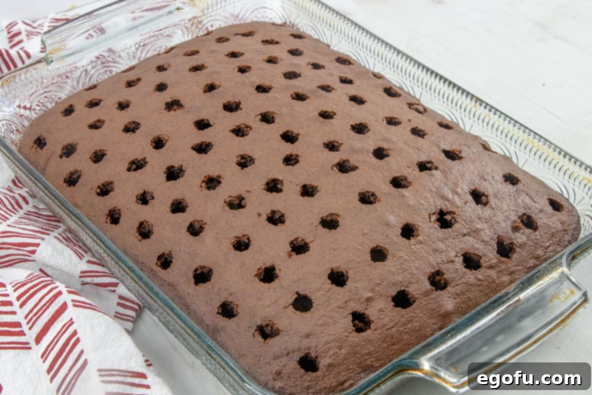 poked holes in a chocolate cake.