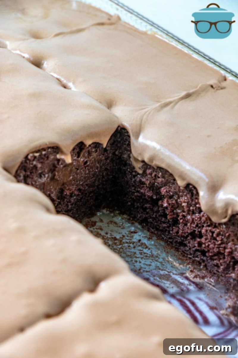Chocolate Poke Cake in a baking dish, slices cut out.