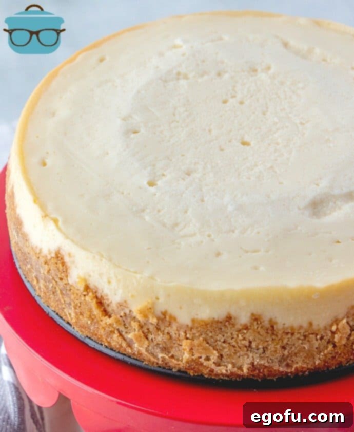 The Ultimate Instant Pot Cheesecake 12 cooled, Instant Pot Cheesecake on stand.
