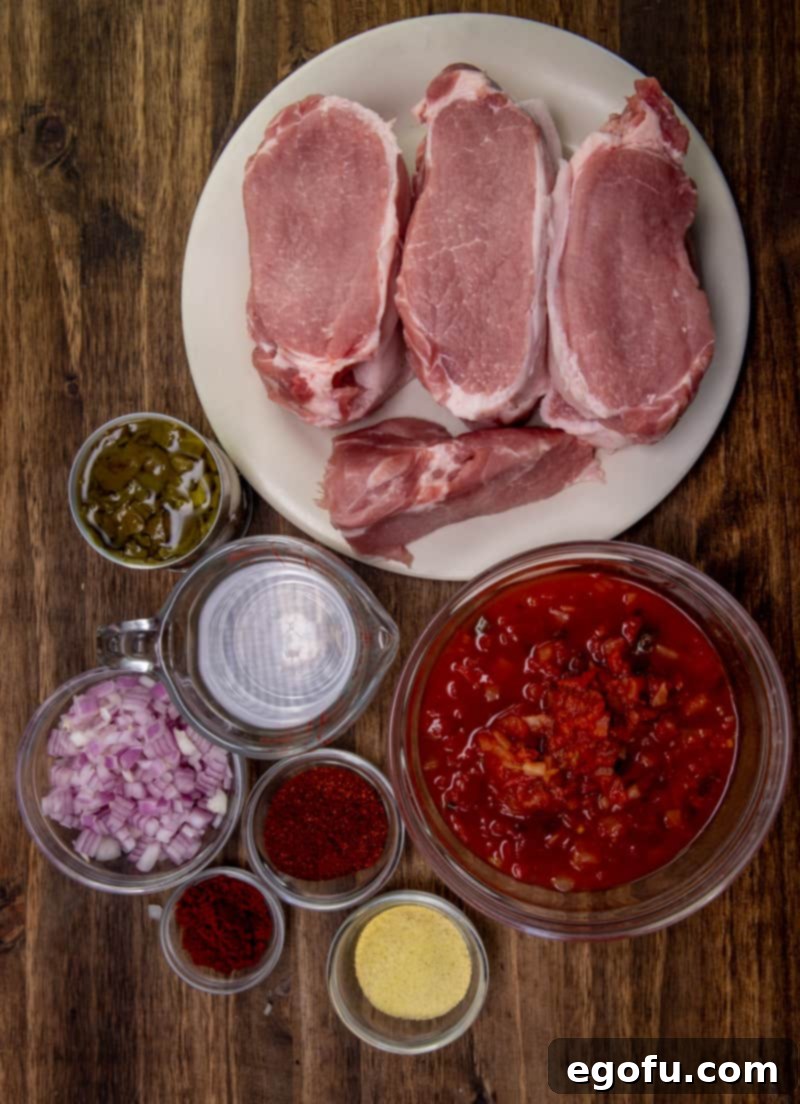 A collection of ingredients for Instant Pot Pork Chili: boneless pork loin roast, canned diced green chiles, red onion, salsa, chili powder, Goya Adobo Seasoning, paprika, water, and salt, arranged for cooking.