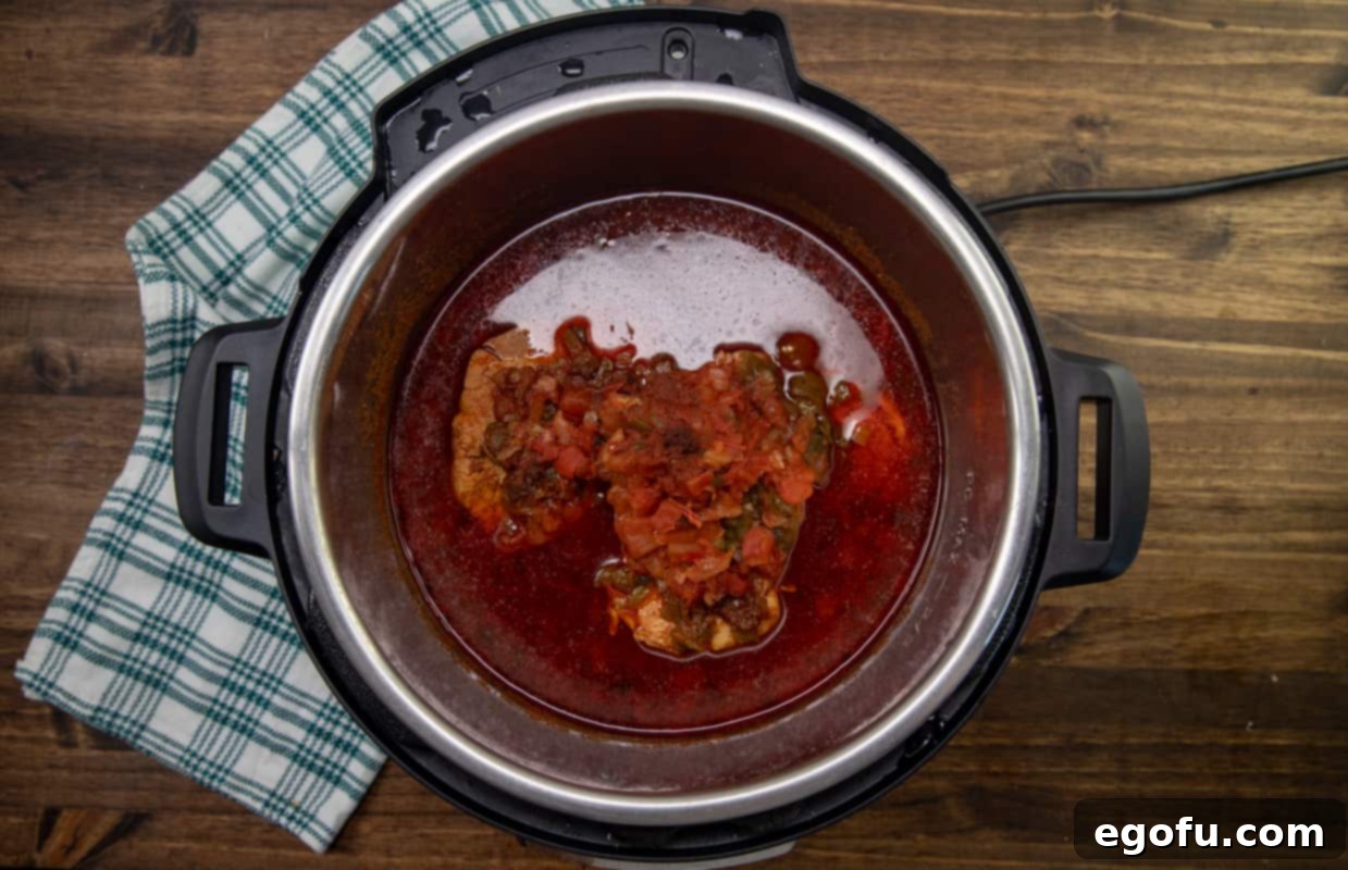 Pork chili immediately after cooking in the Instant Pot, with tender meat still in liquid, before shredding.
