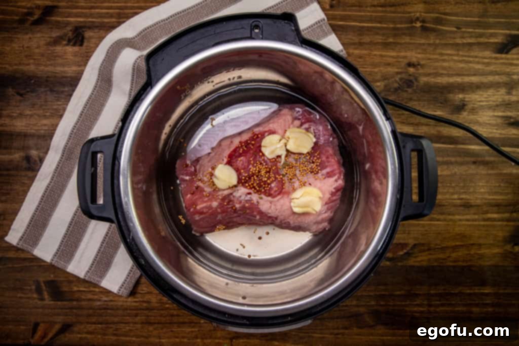 water, corned beef brisket and smashed garlic and spices in an electric pressure cooker