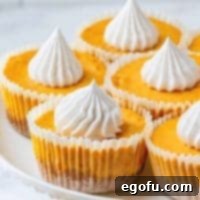 Spiced Pumpkin Cheesecake Minis 2 MINI PUMPKIN CHEESECAKES thumbnail