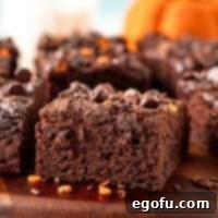 Easy Chocolate Pumpkin Cake thumbnail image