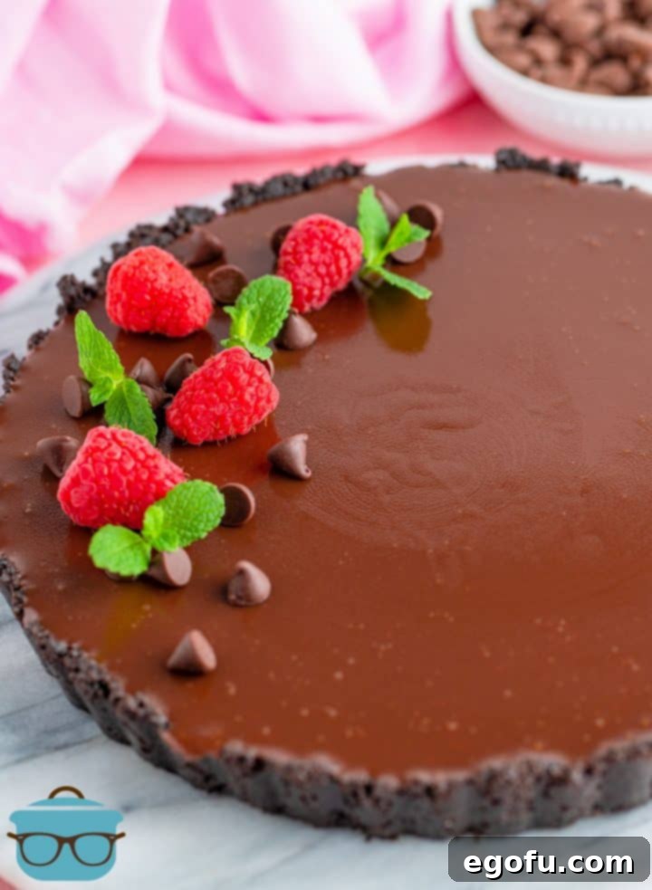 Decadent Raspberry Chocolate Tart 2 Easy Raspberry Chocolate Tart topped with fresh raspberries, chocolate chips and mint leaves
