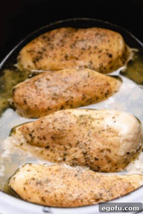 Cooked chicken in crock pot