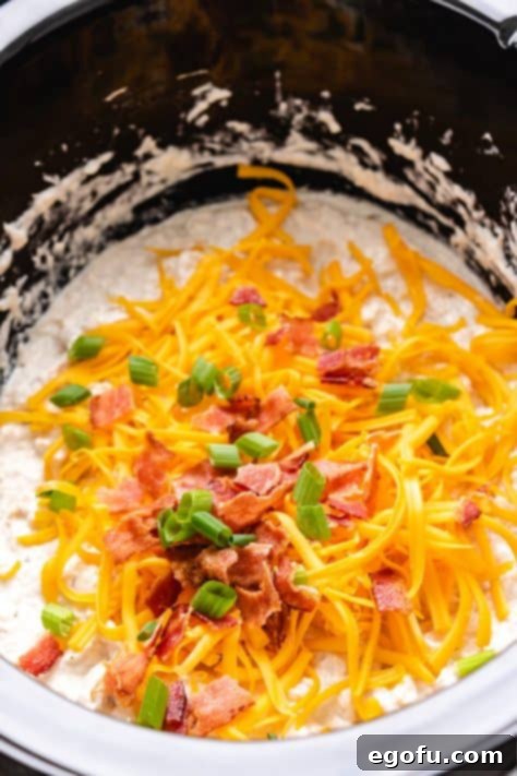 Cheese, bacon and green onions placed on top of chicken