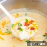 Close up of Instant Pot Loaded Potato Soup on ladle square image
