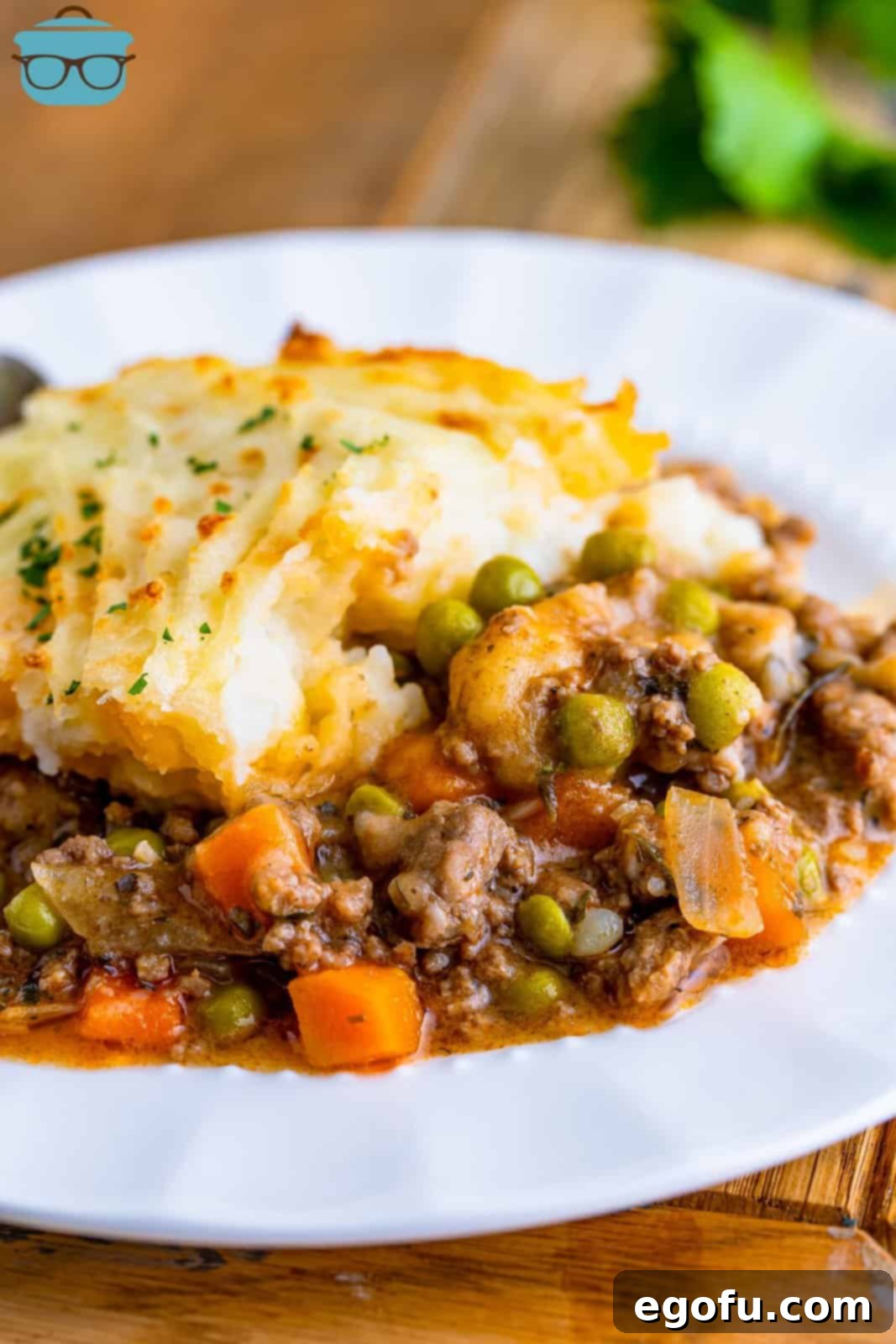 A beautifully plated serving of Shepherd's Pie on a white dish, showcasing the golden-brown mashed potato topping and rich meat filling.