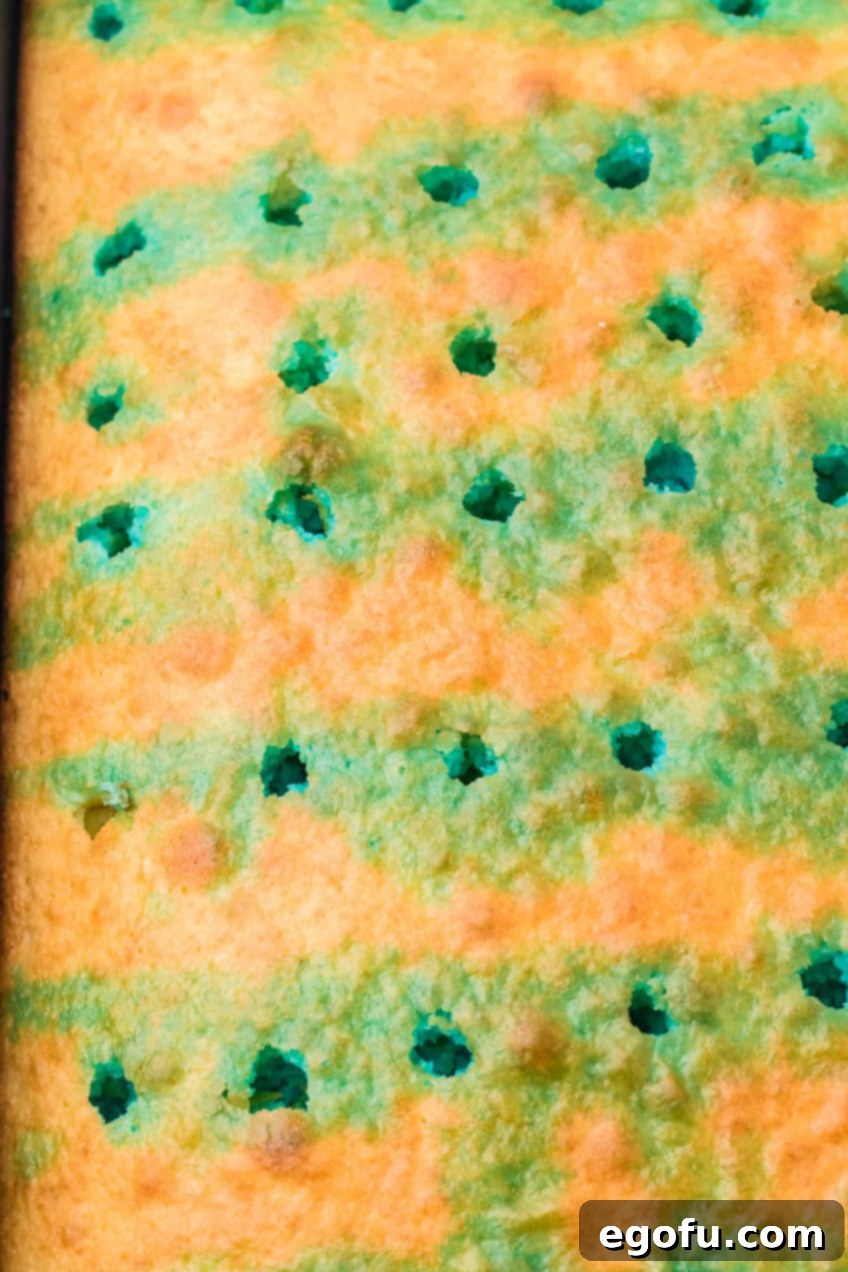 Finished cake with jello set in holes.