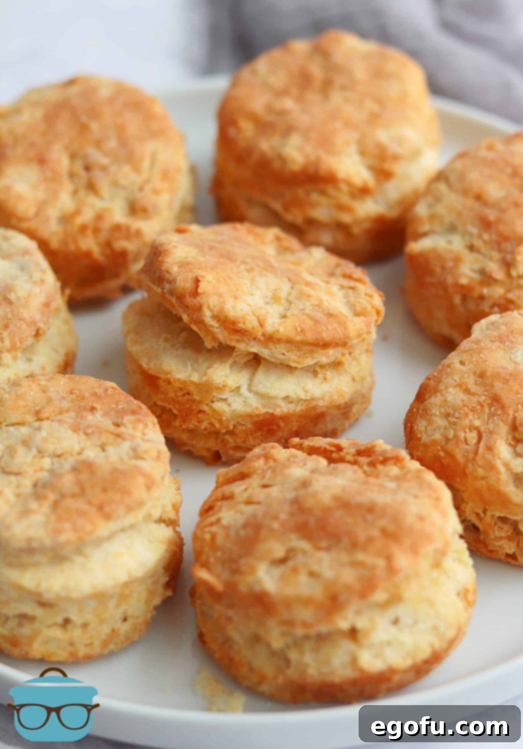 Golden brown Air Fryer Buttermilk Biscuits arranged on a pristine white plate, ready to be served and enjoyed.