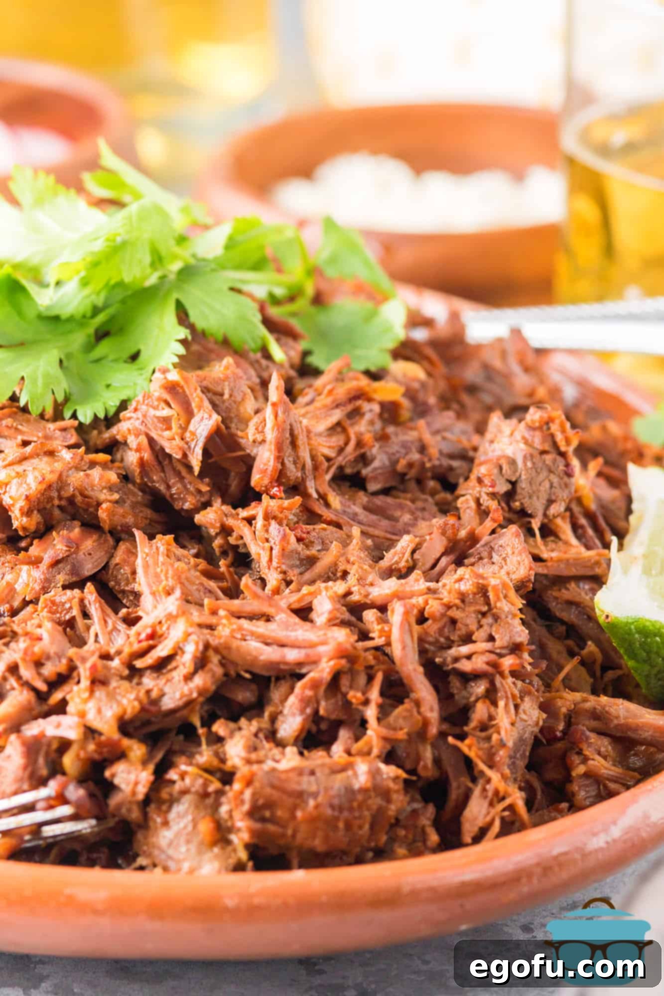 Close up of Instant Pot Barbacoa on plate, showcasing its tender texture and rich color.