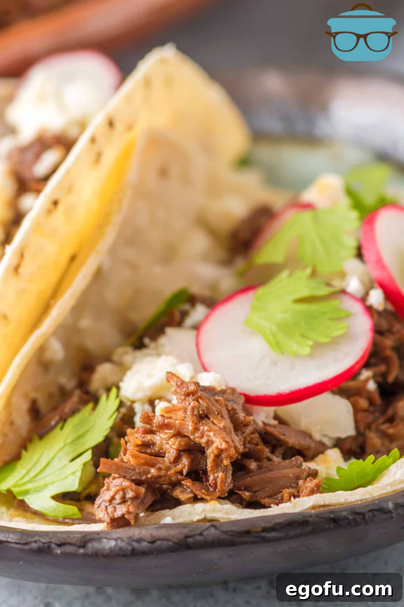 Barbacoa served in a taco shell with fresh radishes and onions as toppings.