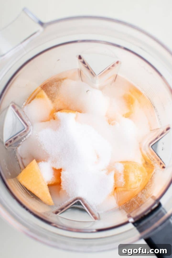 Melon Breeze 5 Ingredients added to blender