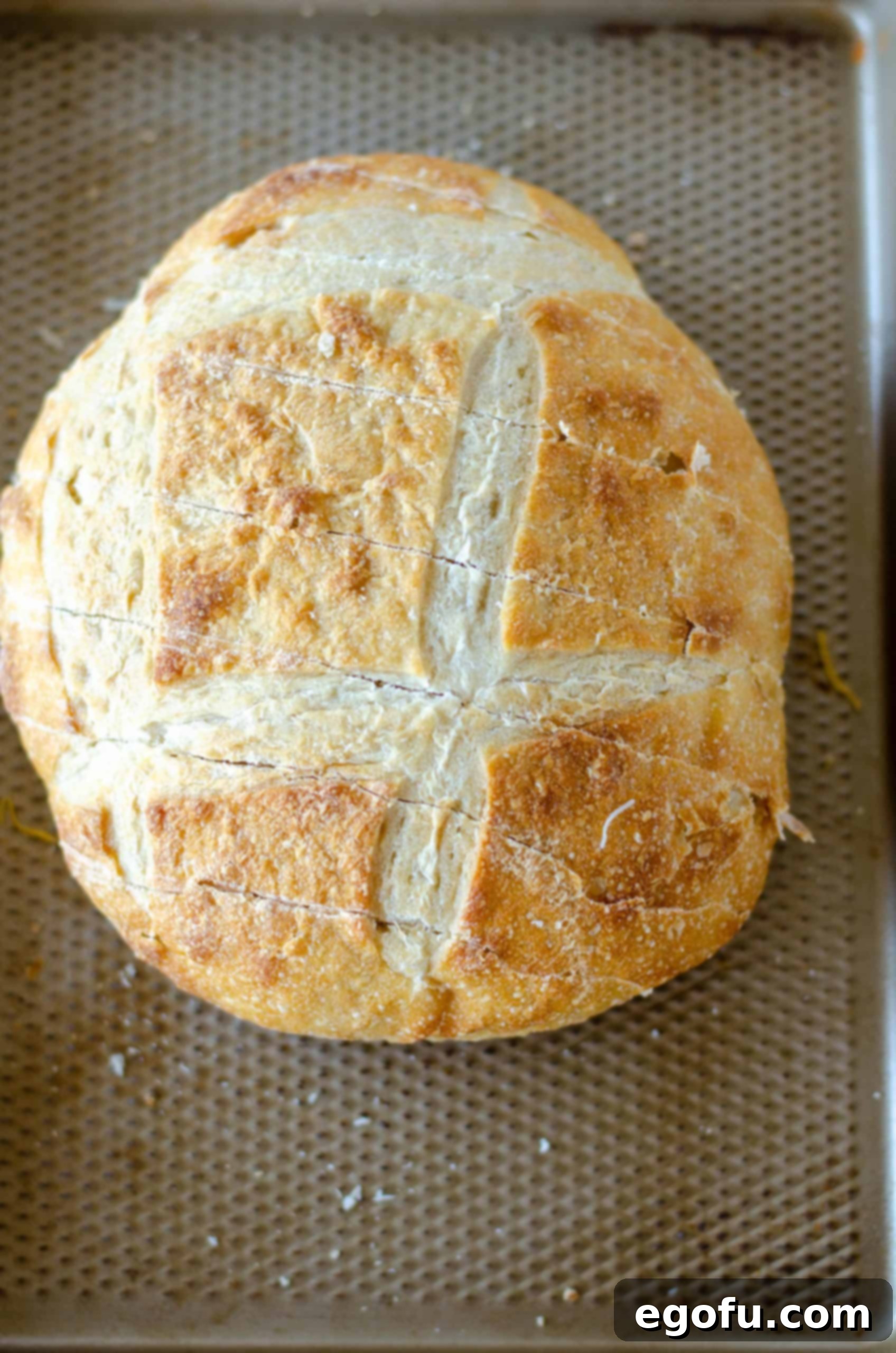 Bread on a baking pan with initial diagonal cuts, illustrating the careful scoring technique.