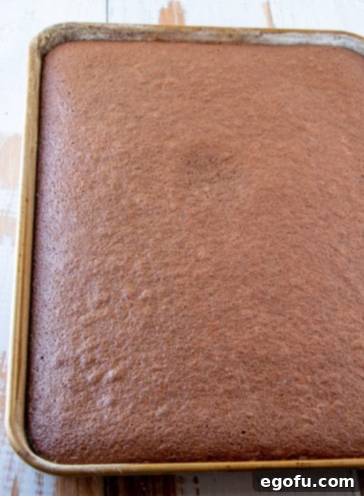 Finished baked cake in baking pan