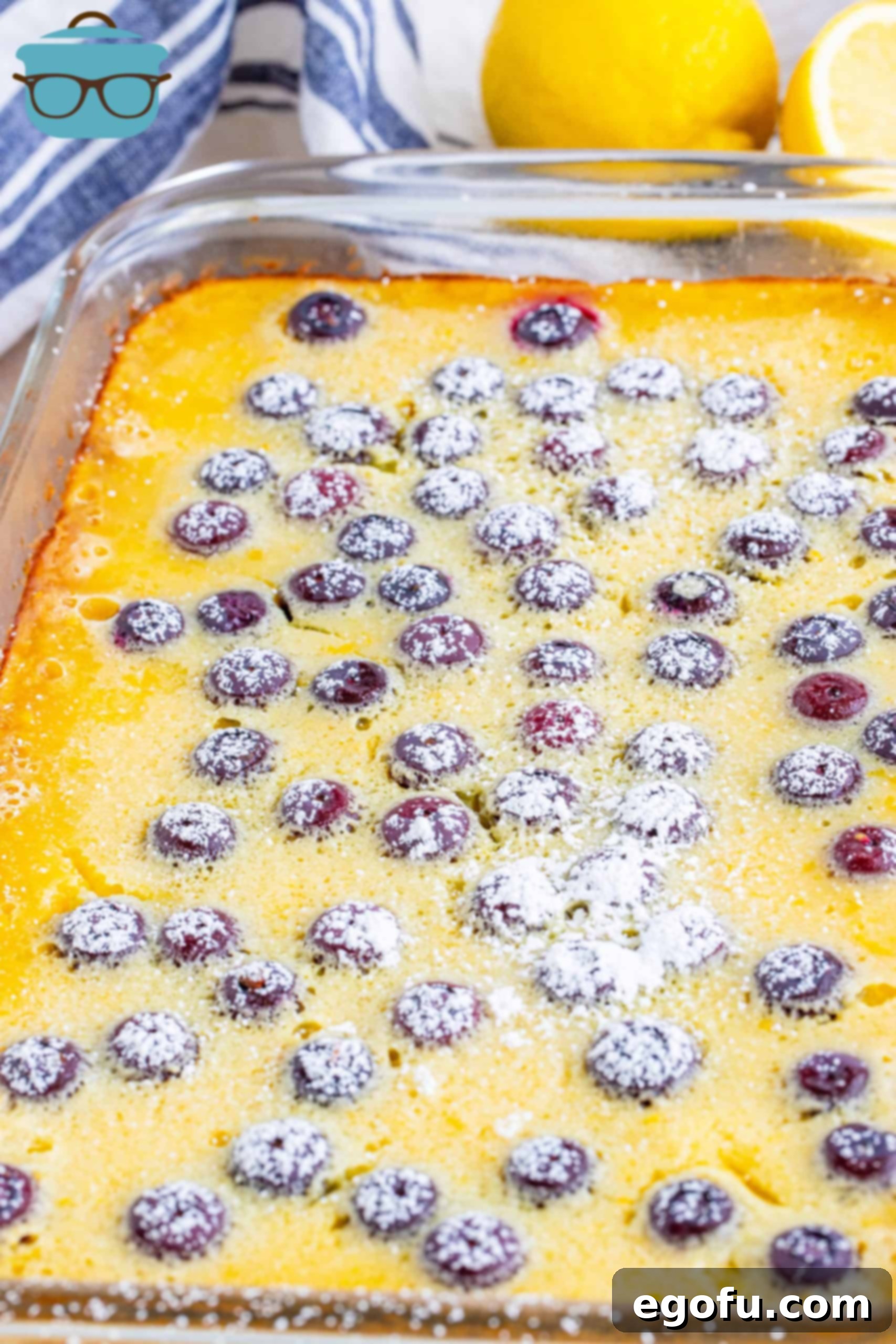 Baking dish with finished Blueberry Lemon Bars, generously sprinkled with powdered sugar.