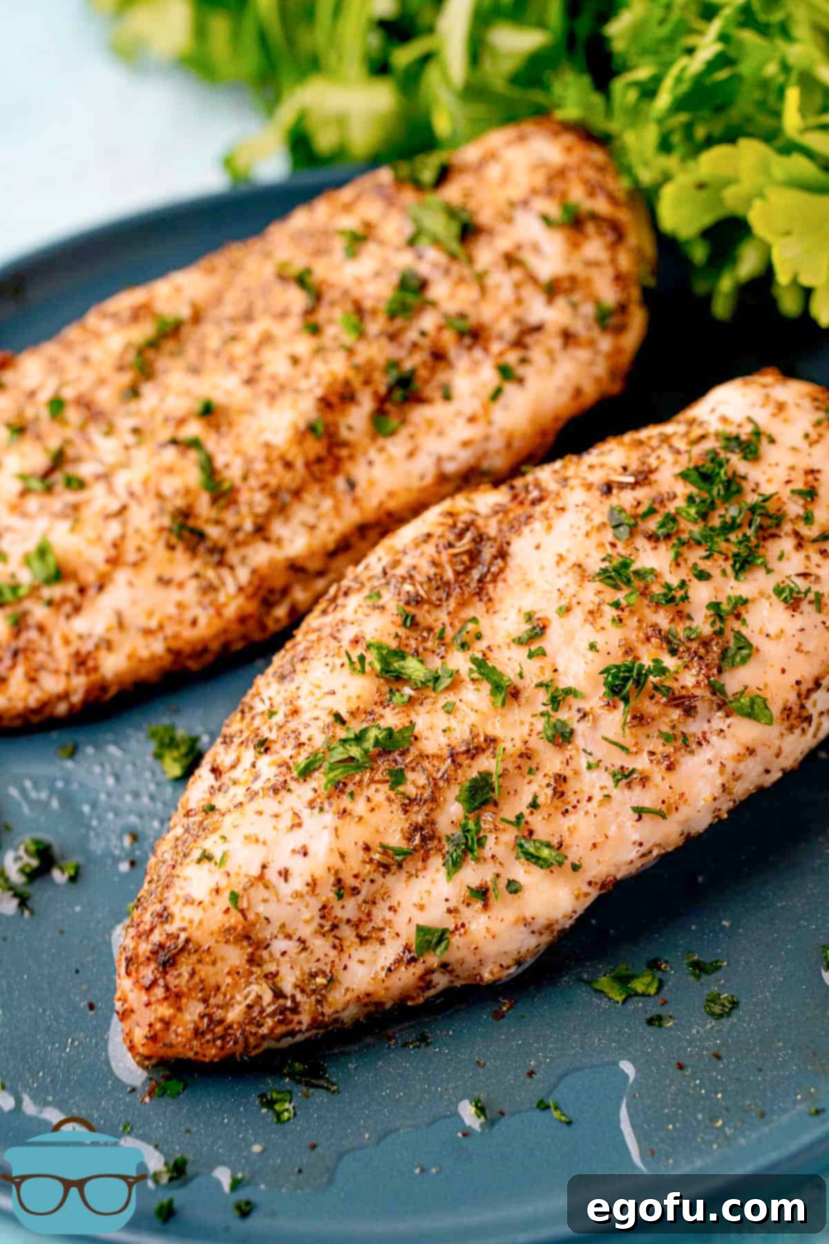 Air fried chicken breasts garnished with fresh parsley on a gray plate, showcasing their golden brown exterior.