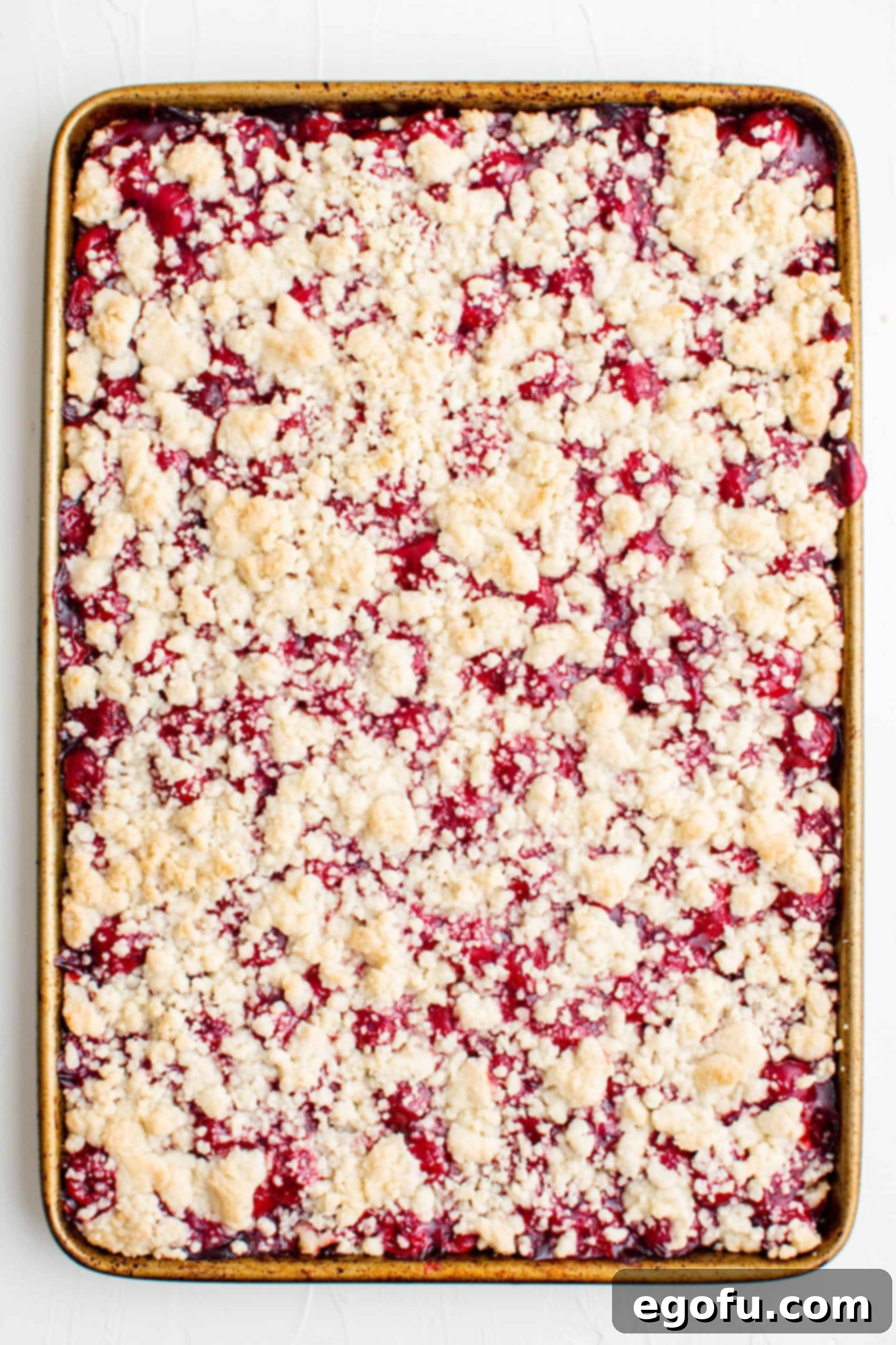 Golden Cherry Crumble Bars 12 Baked filling and crumble top out of oven.