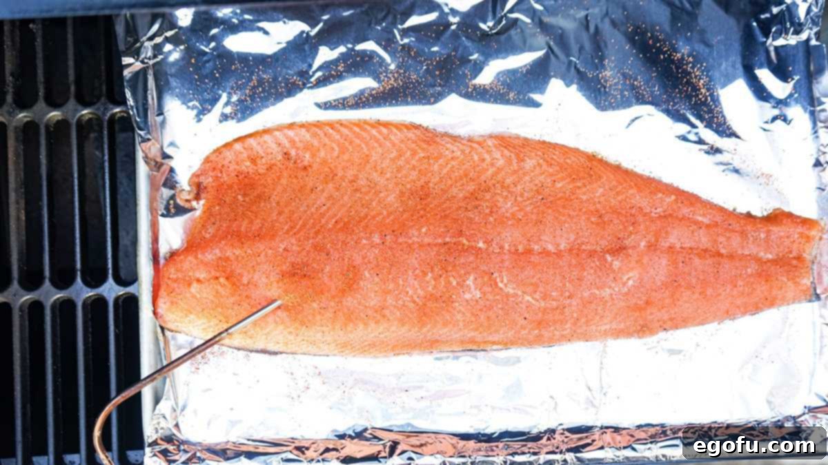 Meat probe in salmon filet on smoker