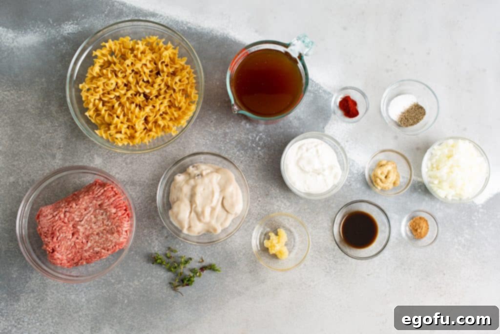 Instant Pot Creamy Beef and Noodle Stroganoff 4 Ingredients needed: ground beef, yellow onion, nutmeg, paprika, salt, pepper, garlic, worcestershire sauce, dijon mustard, beef broth, cream of mushroom soup, egg noodles, sour cream and fresh thyme.