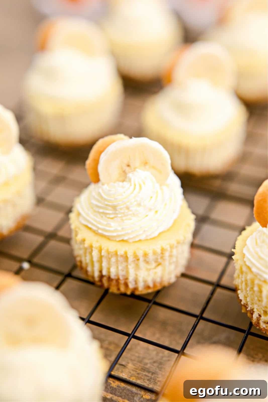 Mini Banana Pudding Cheesecakes on a wire rack decorated with swirled whipped cream, slices of banana, and a Nilla wafer, showcasing the final presentation.