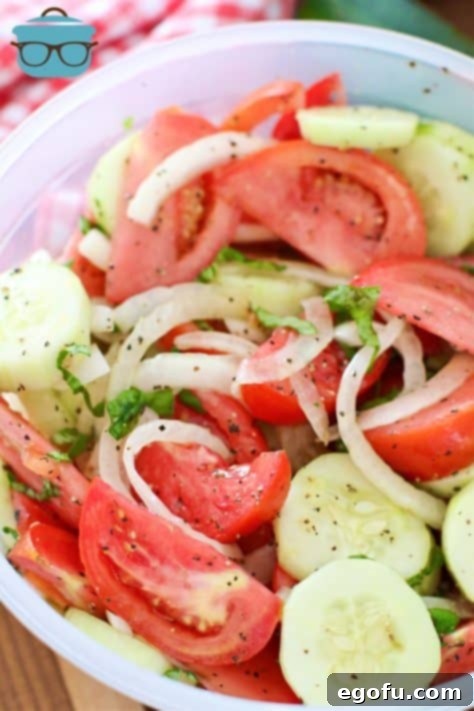 Marinated Tomato Cucumber Salad in a plastic bowl.