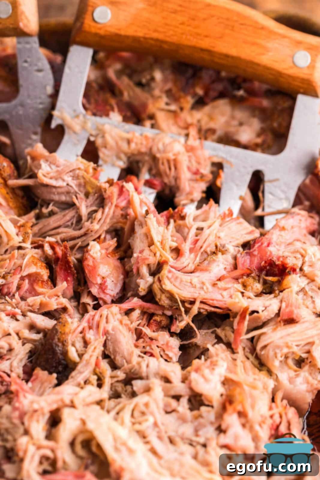 Finished Smoked Pulled Pork being shredded with metal tongs.