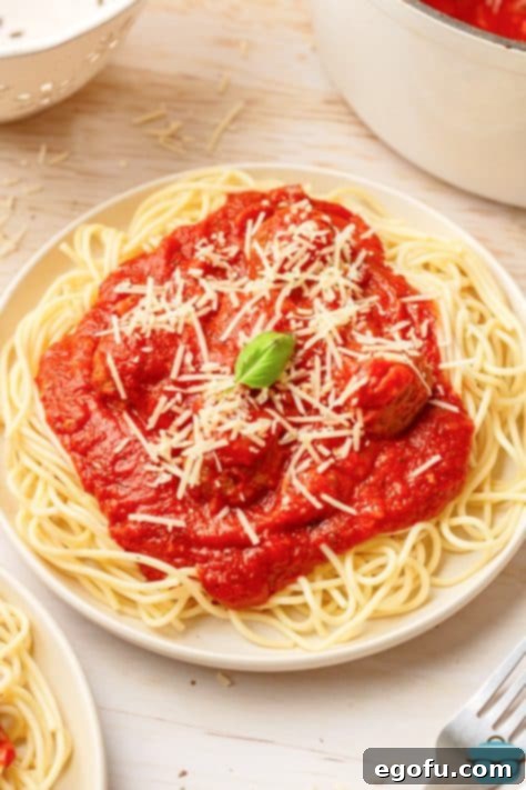 A large plate of spaghetti with Homemade Marinara Sauce.