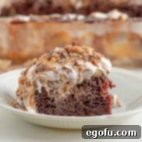 Pure Ecstasy Dessert 14 Square image of Better Than Sex Cake on white plate.