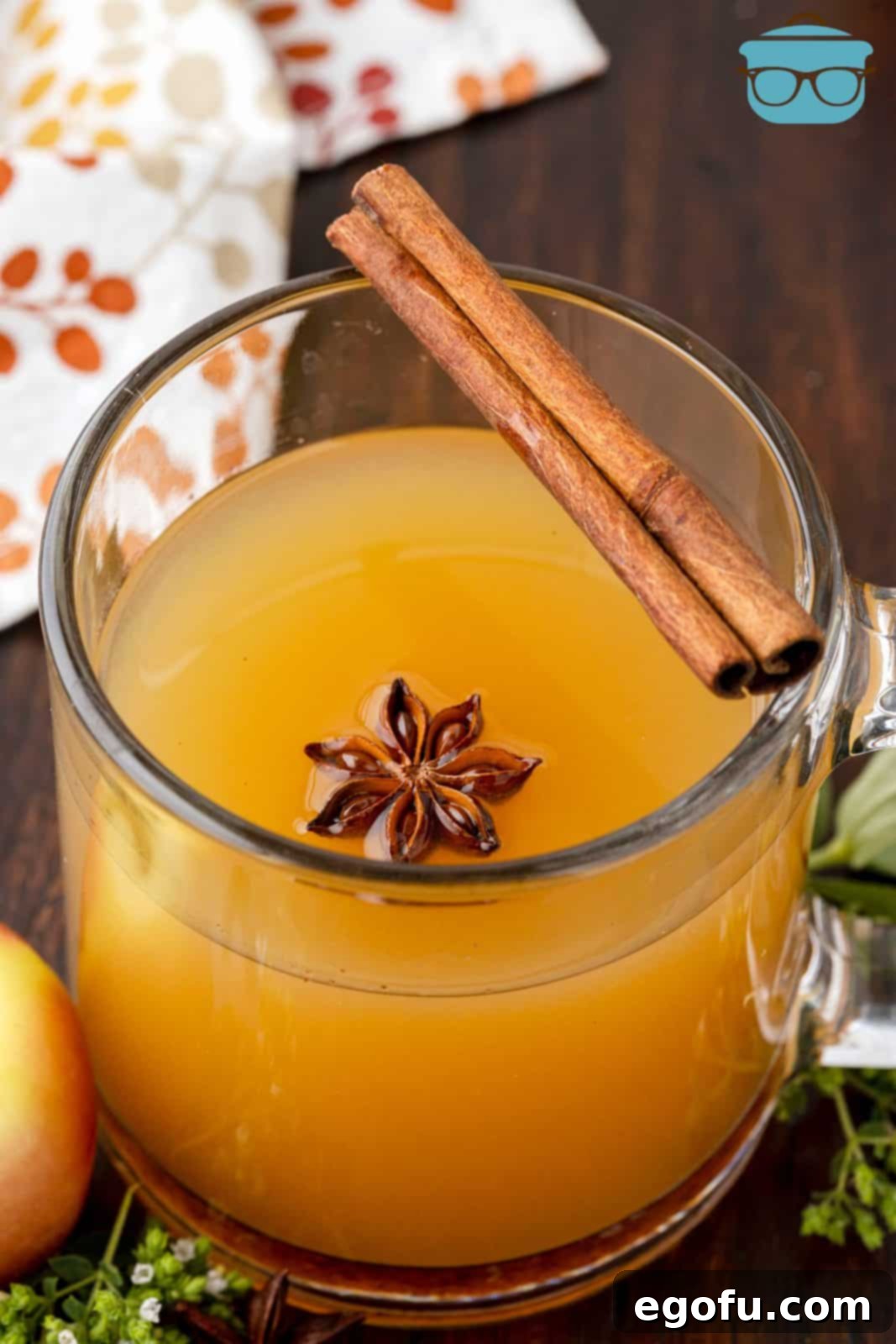 Warm Apple Cider Cocktail in glass with star anise and cinnamon stick on rim, set against a cozy fall backdrop.