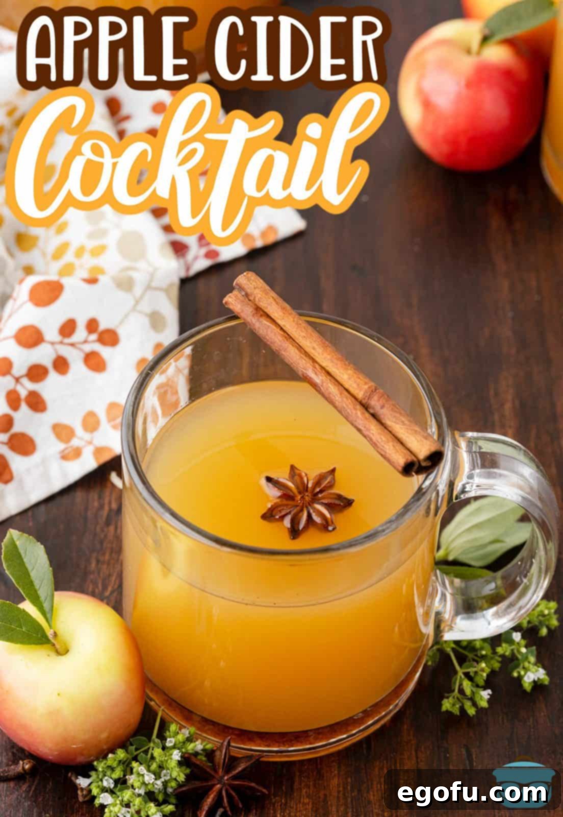 Pinterest image of Warm Apple Cider Cocktail Recipe in handled glass with cinnamon stick and star anise, ready for sharing.